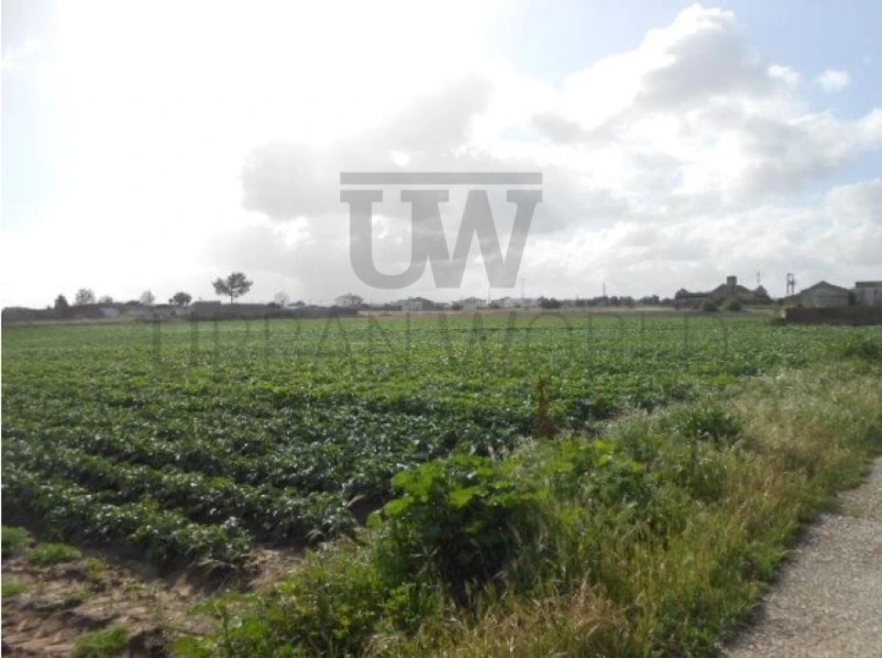 Terreno Misto para Venda em Montijo e Afonsoeiro Foto 2