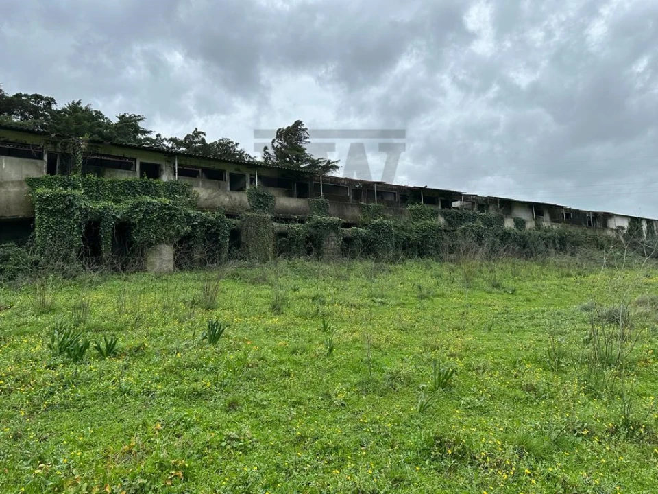 Terreno Comércio / Armazém para Venda em Venda do Pinheiro e Santo Estêvão das Galés Foto 12