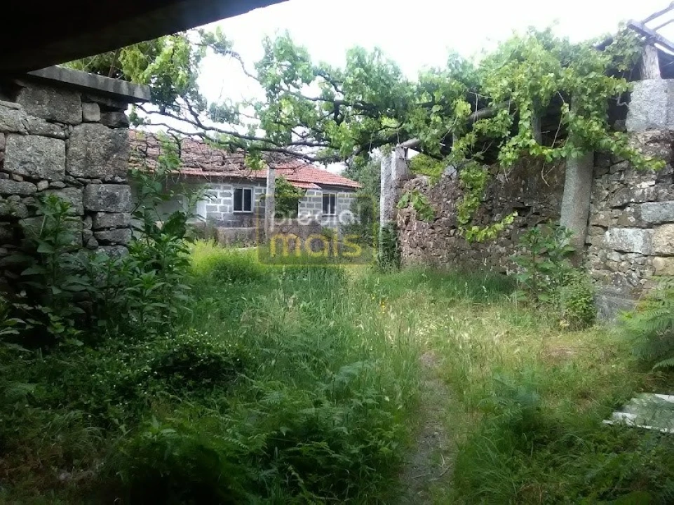 Quinta T7 para Venda em Leitões, Oleiros e Figueiredo Foto 6