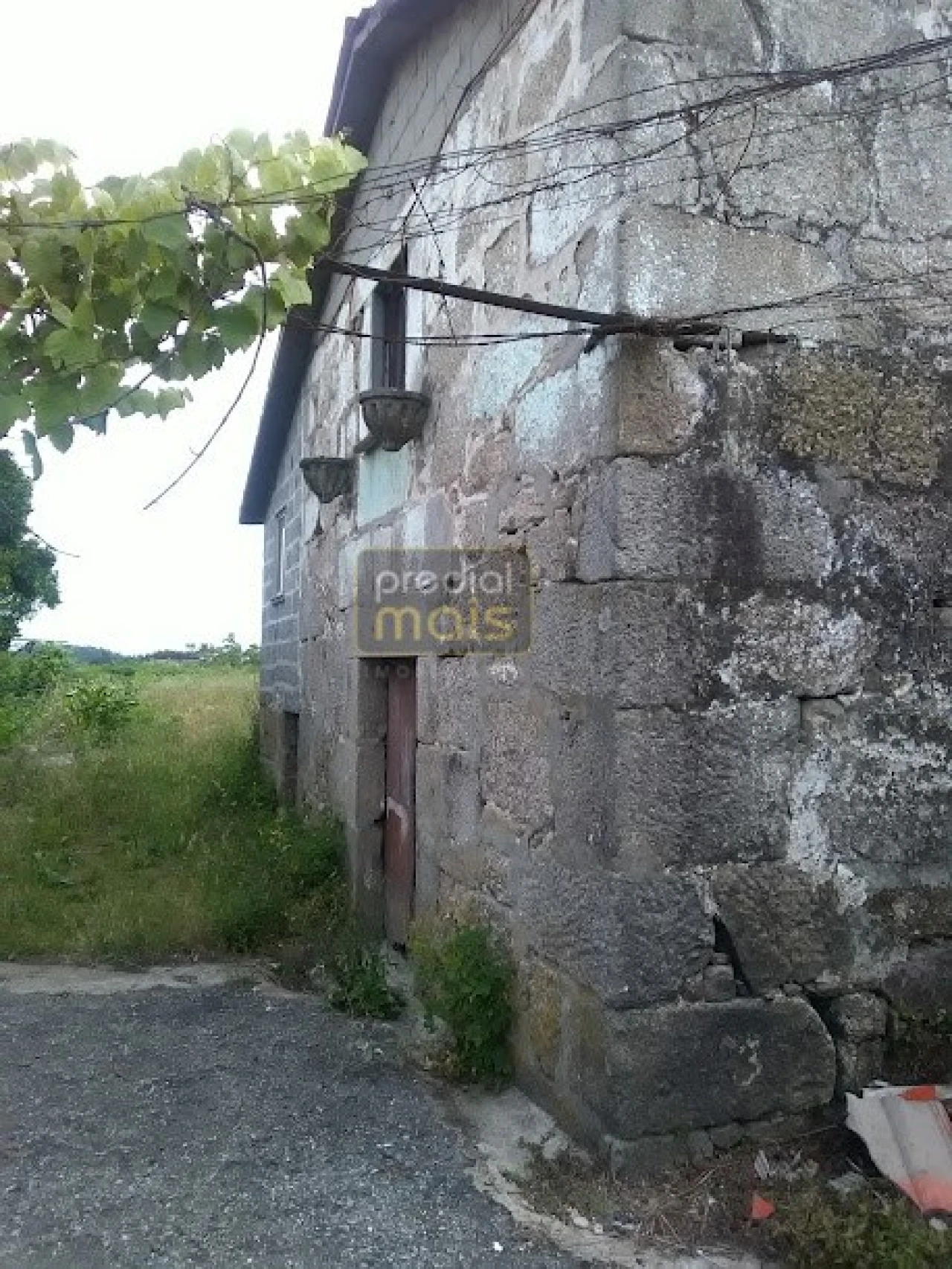 Quinta T7 para Venda em Leitões, Oleiros e Figueiredo Foto 3