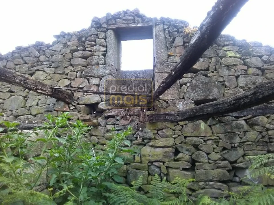 Quinta T7 para Venda em Leitões, Oleiros e Figueiredo Foto 12