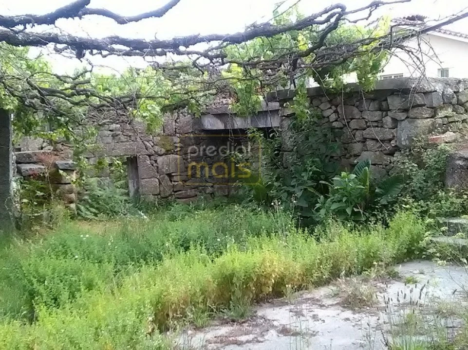 Quinta T7 para Venda em Leitões, Oleiros e Figueiredo Foto 9