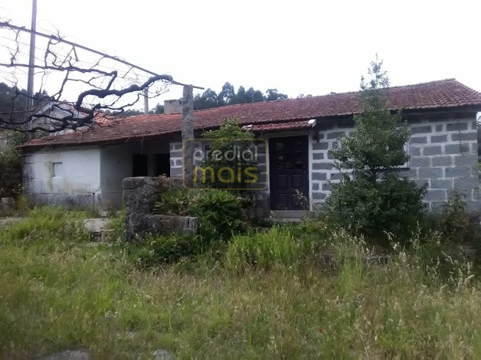 Quinta T7 para Venda em Leitões, Oleiros e Figueiredo Foto 8
