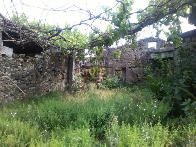 Quinta T7 para Venda em Leitões, Oleiros e Figueiredo Foto 5