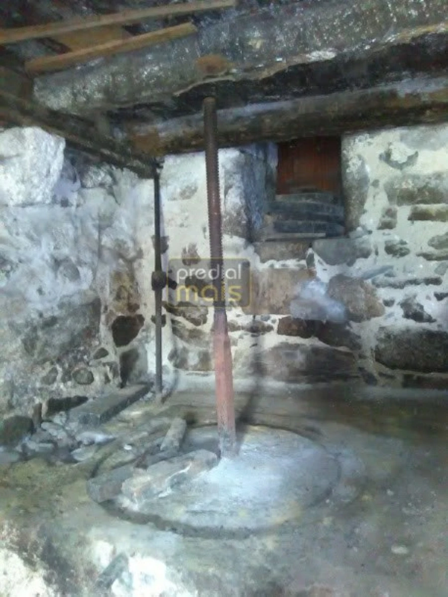 Quinta T7 para Venda em Leitões, Oleiros e Figueiredo Foto 22