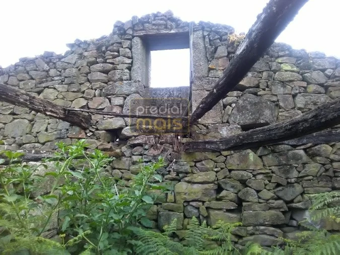 Quinta T7 para Venda em Leitões, Oleiros e Figueiredo Foto 12