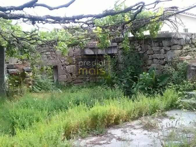 Quinta T7 para Venda em Leitões, Oleiros e Figueiredo Foto 9