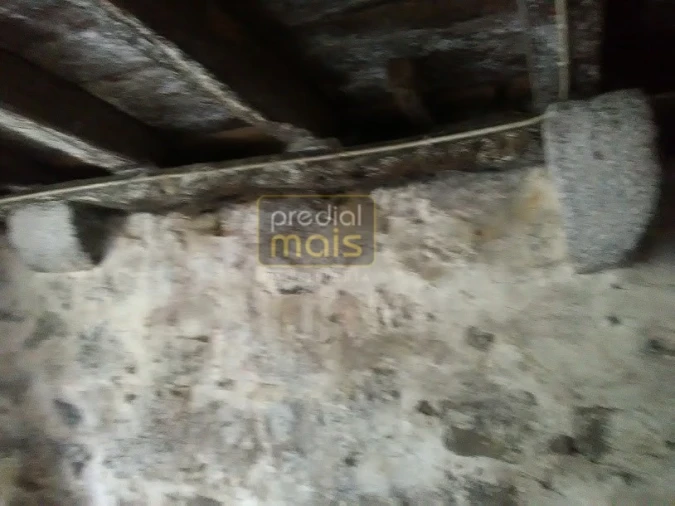 Quinta T7 para Venda em Leitões, Oleiros e Figueiredo Foto 24