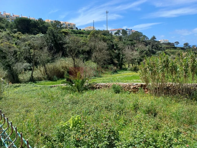 Moradia T4 para Arrendamento em Ericeira Foto 33