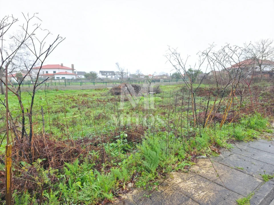 Terreno para Venda em Campos e Vila Meã Foto 2