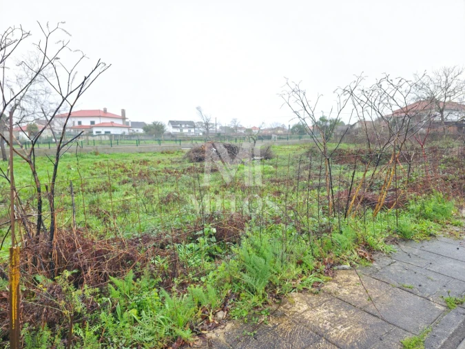 Terreno para Venda em Campos e Vila Meã Foto 2