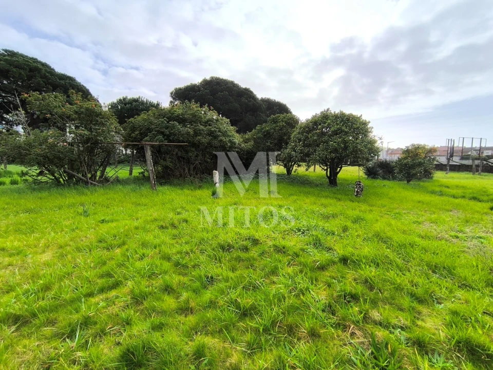 Quinta T5 para Venda em Darque Foto 3