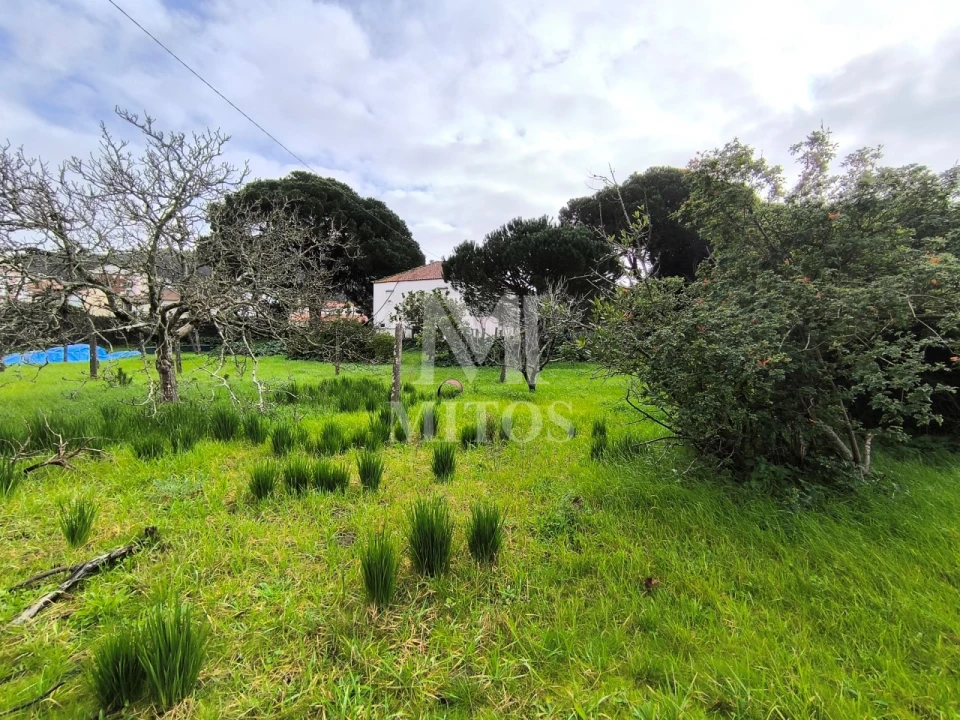 Quinta T5 para Venda em Darque Foto 5