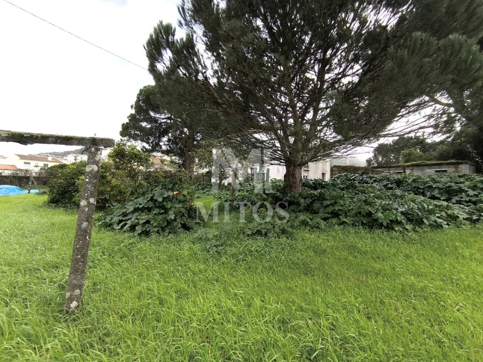 Quinta T5 para Venda em Darque Foto 8