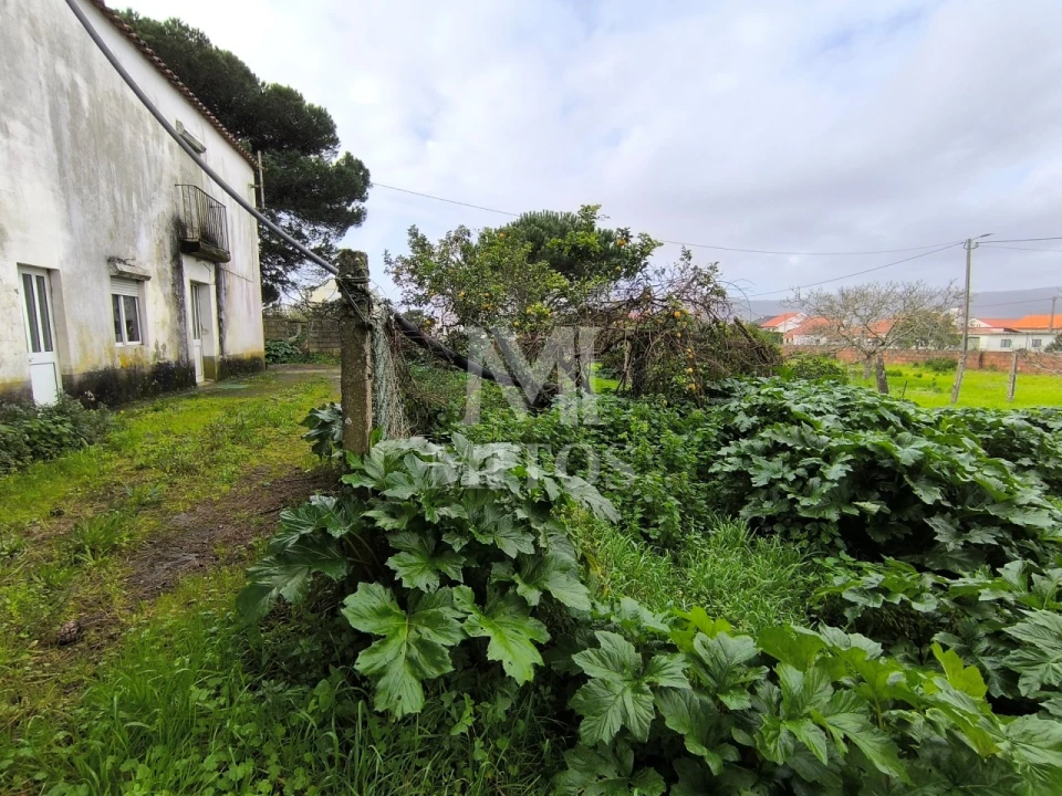 Quinta T5 para Venda em Darque Foto 11