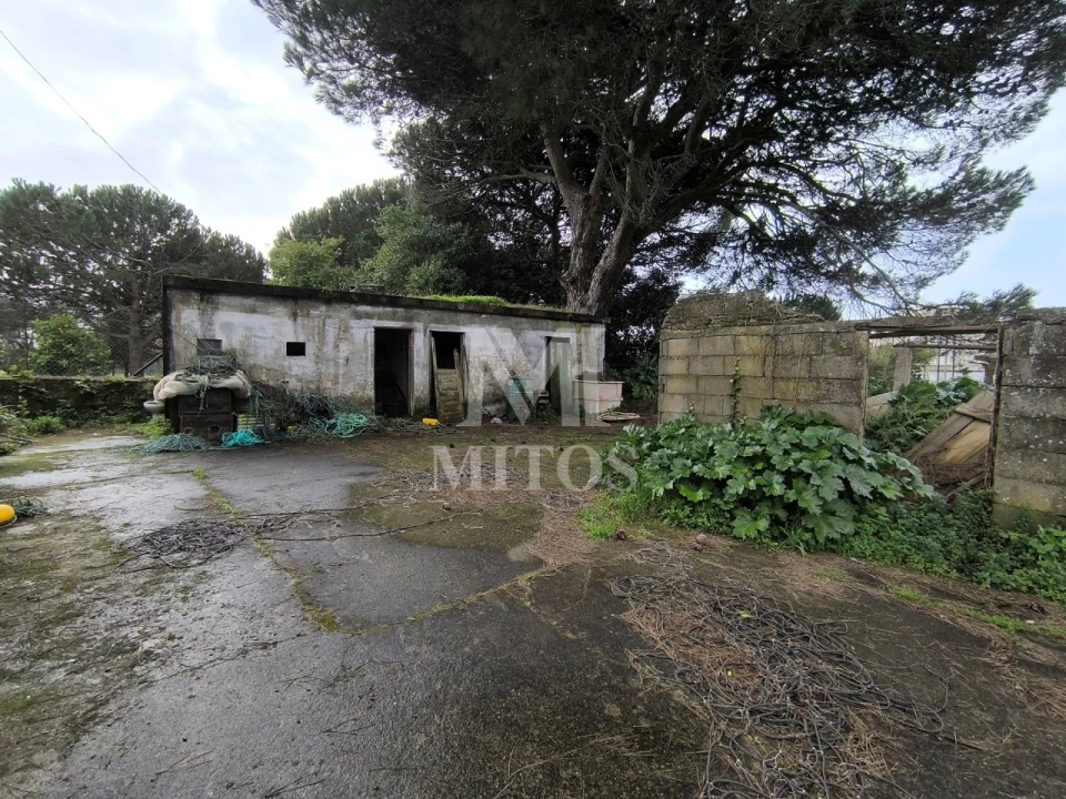 Quinta T5 para Venda em Darque Foto 12