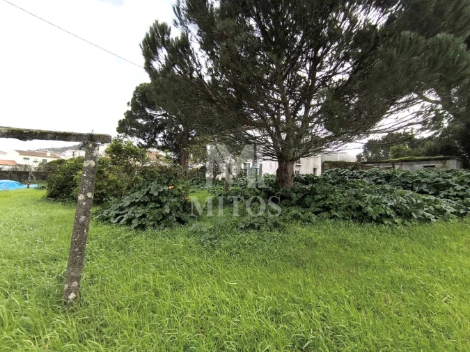 Quinta T5 para Venda em Darque Foto 8