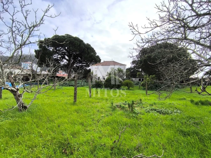 Quinta T5 para Venda em Darque Foto 10