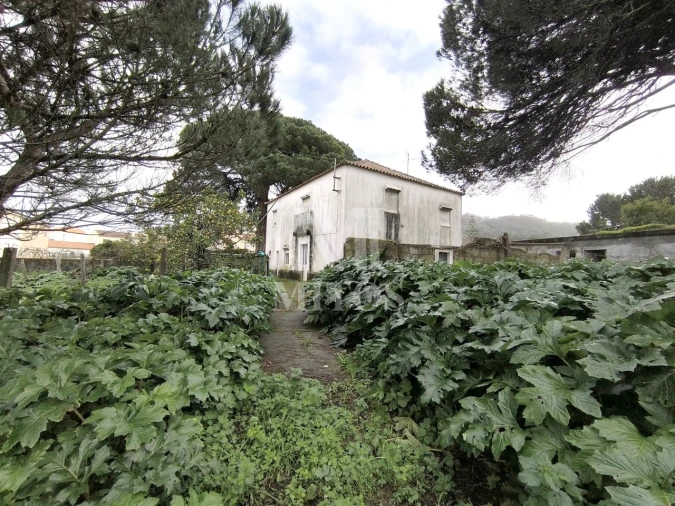 Quinta T5 para Venda em Darque