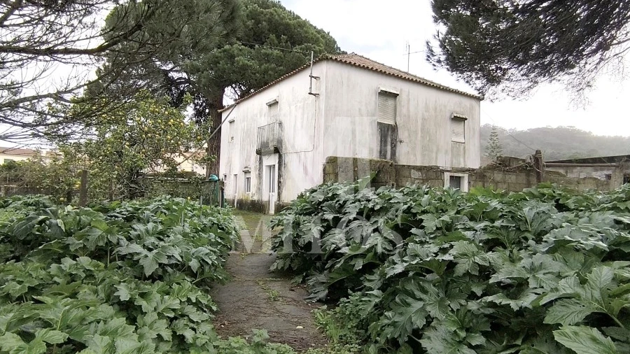 Quinta T5 para Venda em Darque