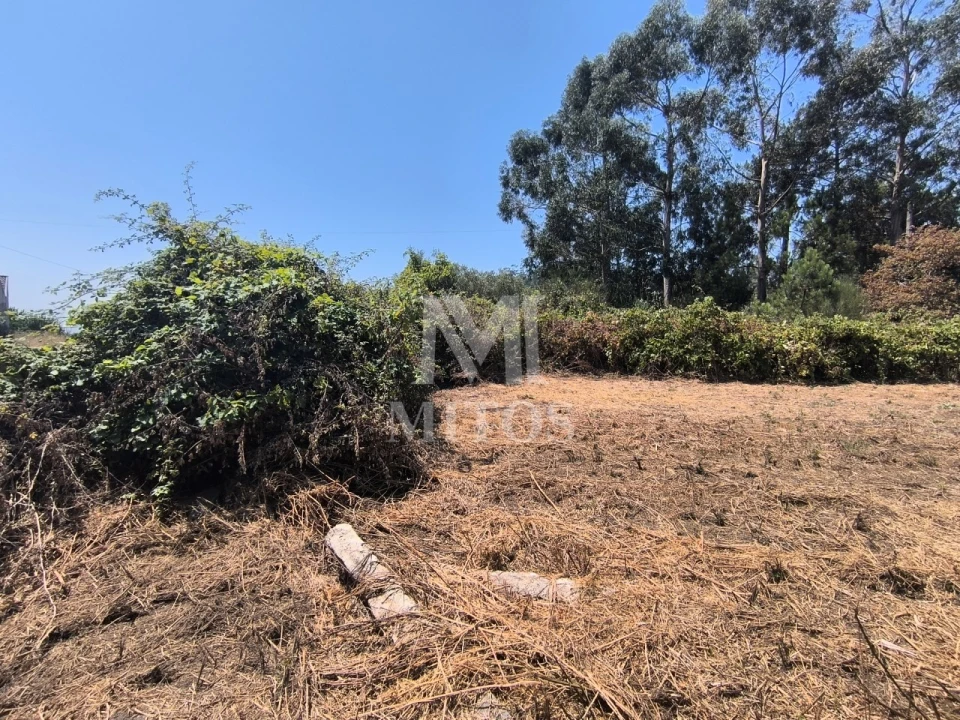 Moradia T3 para Venda em Perre Foto 20
