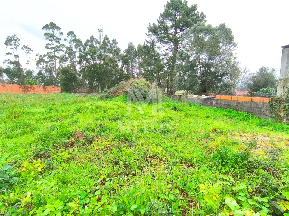 Terreno para Venda em Forjães Foto 6
