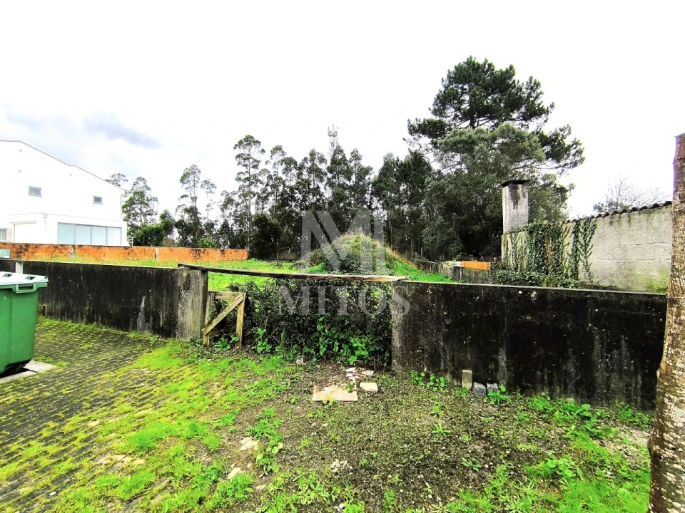 Terreno para Venda em Forjães Foto 7