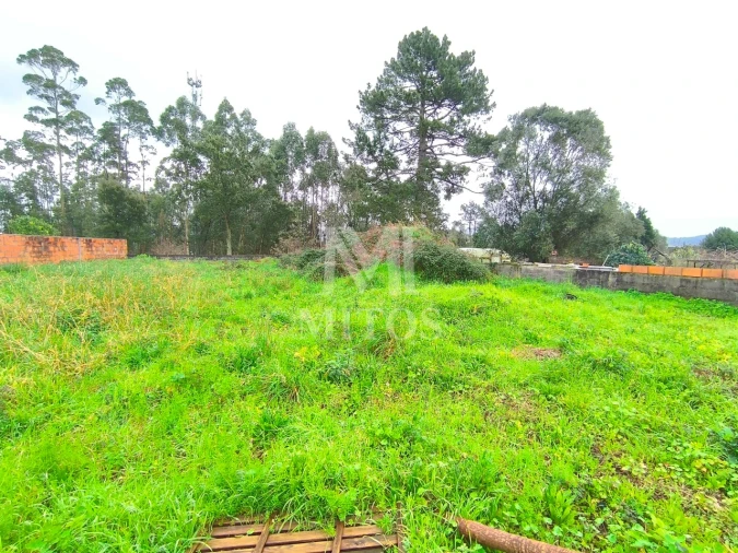 Terreno para Venda em Forjães