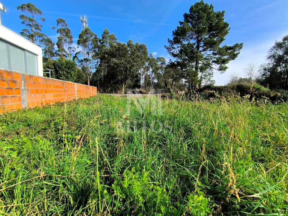 Terreno para Venda em Forjães Foto 2