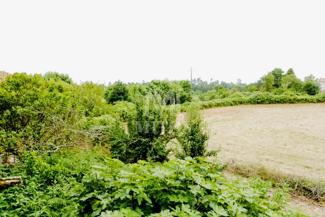 Quinta T4 para Venda em Cardielos e Serreleis Foto 7