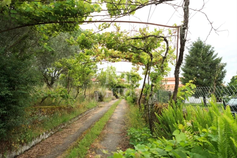 Quinta T4 para Venda em Cardielos e Serreleis Foto 13