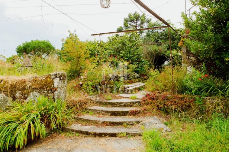 Quinta T4 para Venda em Cardielos e Serreleis Foto 11