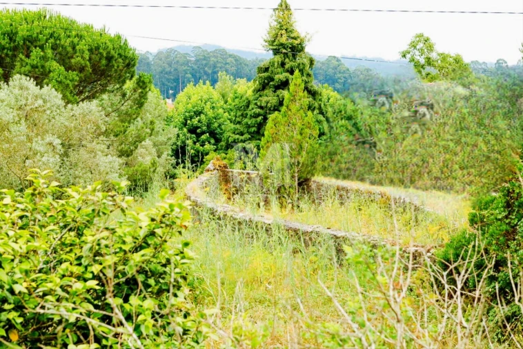 Quinta T4 para Venda em Cardielos e Serreleis Foto 12