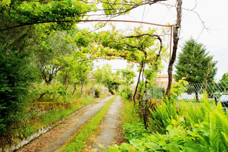 Quinta T4 para Venda em Cardielos e Serreleis Foto 13