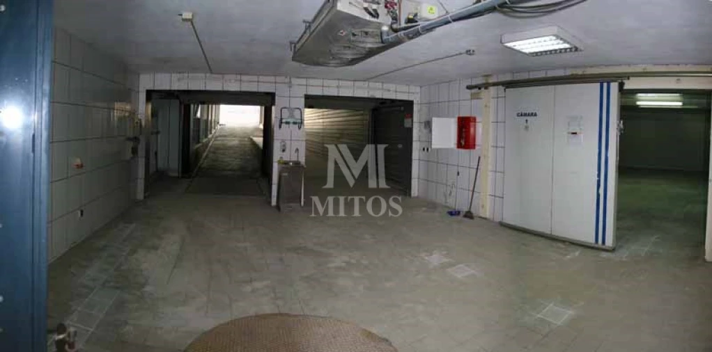 Armazém para Venda em Antas Foto 7