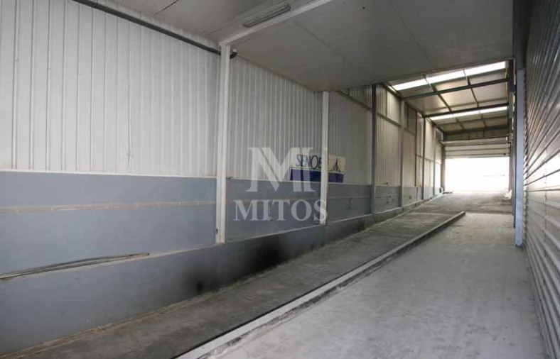 Armazém para Venda em Antas Foto 12