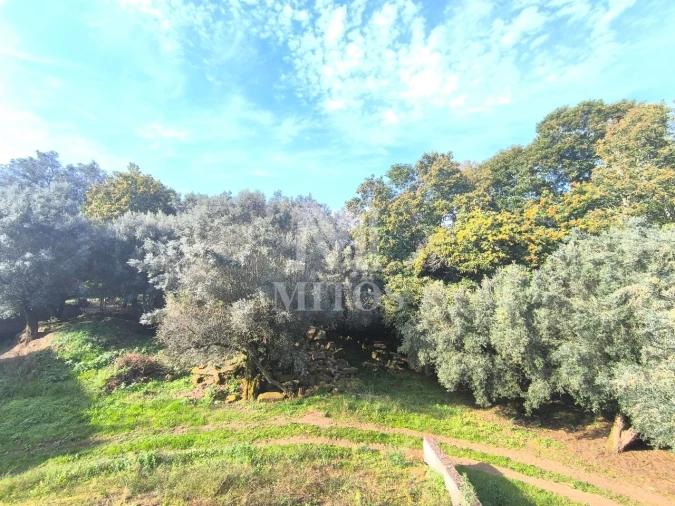 Moradia T4 para Venda em São Pedro de Arcos Foto 14