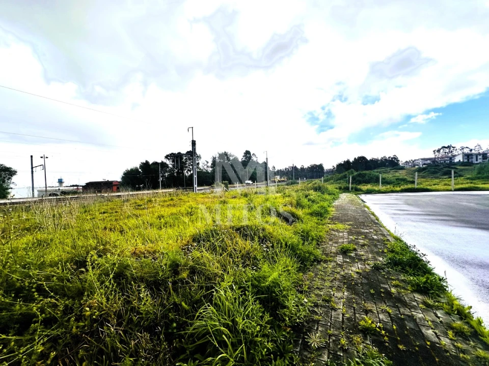 Terreno para Venda em Darque Foto 5