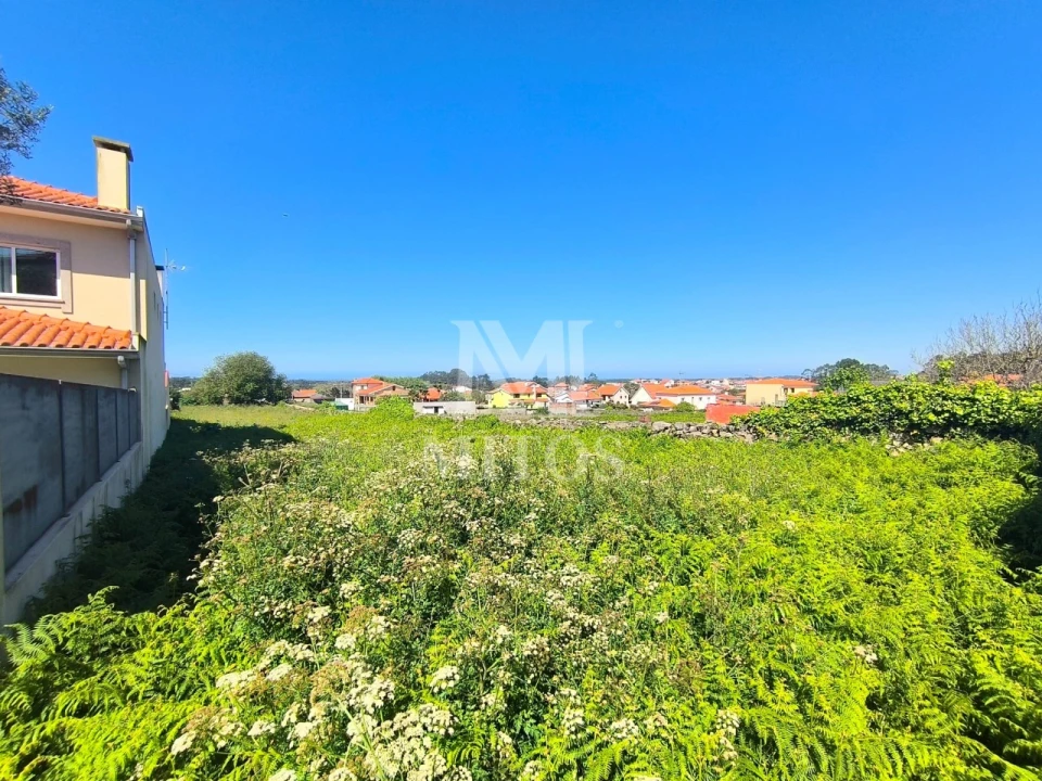 Terreno para Venda em Antas Foto 1