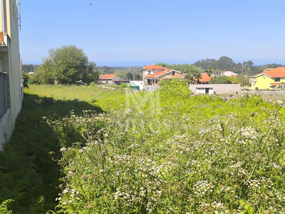 Terreno para Venda em Antas Foto 2