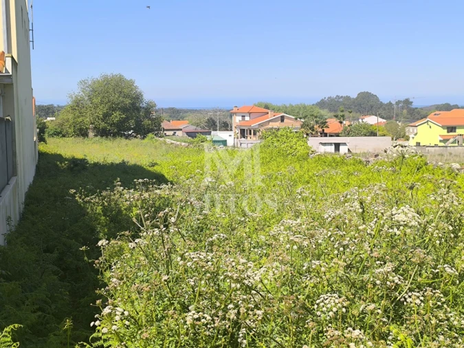 Terreno para Venda em Antas Foto 2