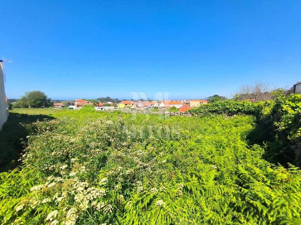 Terreno para Venda em Antas Foto 2