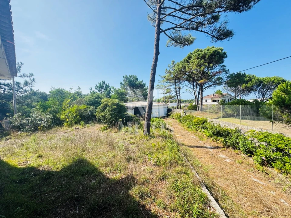 Moradia T3 para Venda em Antas Foto 16