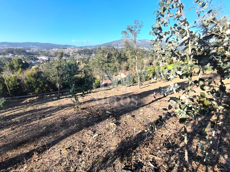 Terreno para Venda em Durrães e Tregosa Foto 5