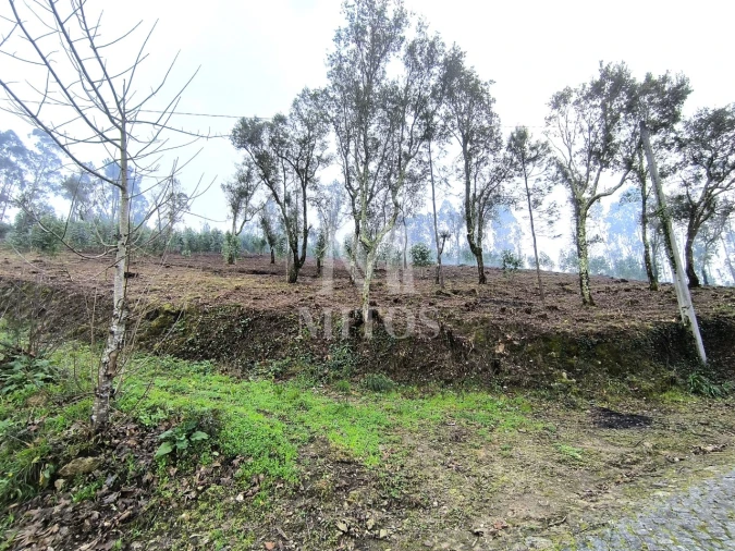Terreno para Venda em Durrães e Tregosa Foto 10