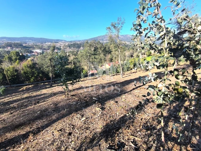 Terreno para Venda em Durrães e Tregosa Foto 5