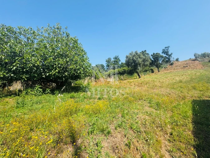 Terreno para Venda em Santa Maria Maior e Monserrate e Meadela Foto 9