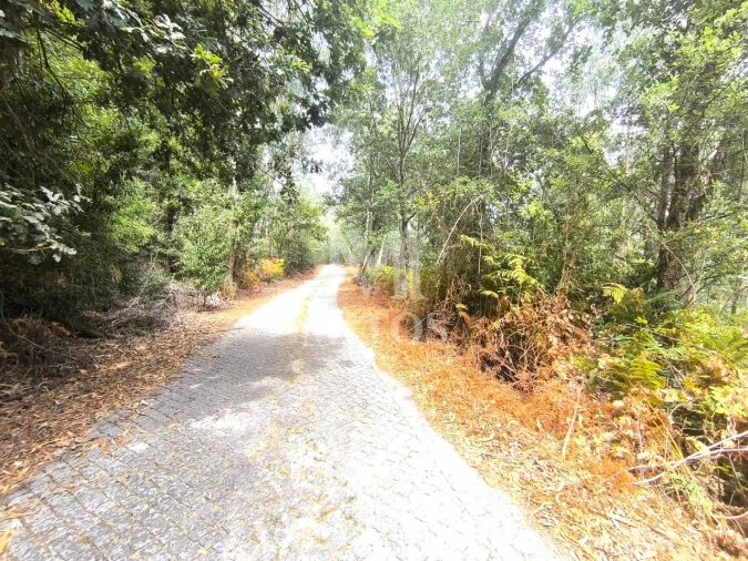 Terreno Agricola ou Rústico para Venda em Quintiães e Aguiar Foto 3