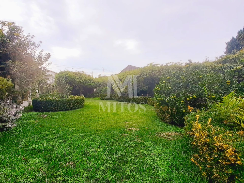 Negócio para Venda em Seixas Foto 3