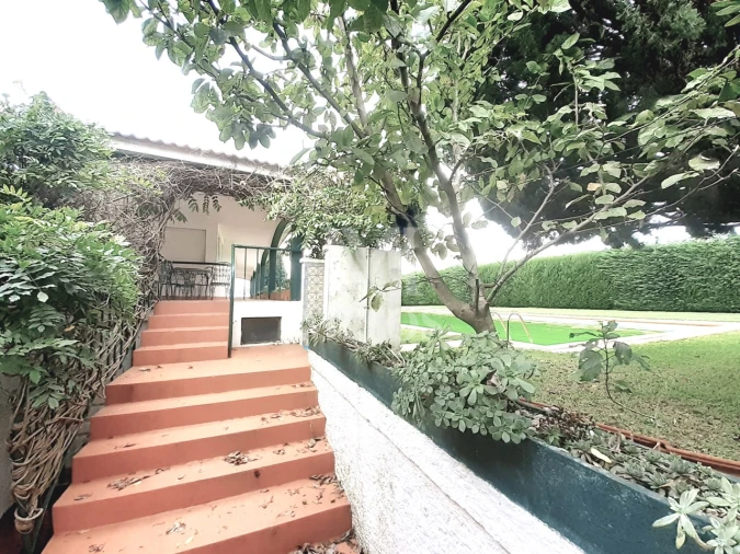 Negócio para Venda em Seixas Foto 17